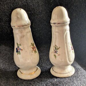 Porcelain salt and pepper shakers with hand-painted floral design